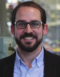 How Reproducible are Surface Areas Calculated from the BET Equation?