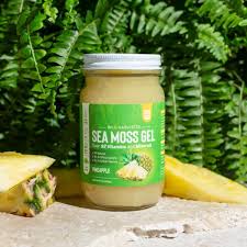 Pineapple Sea Moss Gel – Alodi