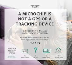 Pet microchip registration in a recovery database is vital to protect your pet. County Of Greenville Sc