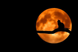 Ramadan 2019 celebrates the first time the koran was revealed to muhammad, according to islamic belief. La Nuit Du Destin Laylat Al Qadr Selon La Sounnah
