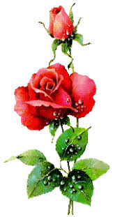 Maybe you would like to learn more about one of these? Flowers Animated Images Gifs Pictures Animations 100 Free