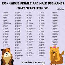 Discover best and funny dog names begin with alphabet b. Dog Names That Start With B For Girl And Boy Dog