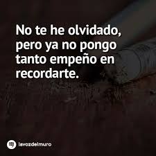 El Tiempo Lo Cura Todo Frases Bonitas Frases Ironicas Frases Motivadoras