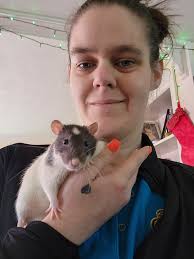 What a fab group. This is my boy Earl. He's 2 and a much loved family  member. He talks all the time some of his favourite words, "mummies baby  boy 🥰, love