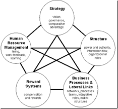 Galbraith S Star Model Of Organizational Design Organizational Design Design Thinking Service Design