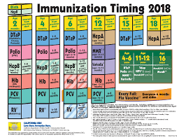 Pediatric Immunization Schedule Examples And Forms