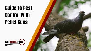 Here i have prepared the advantages and disadvantages pest control pellet guns: Guide To Pest Control With Pellet Guns Air Rifle Pro