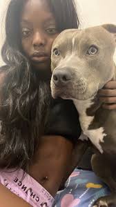 Pit bull owners sharing photos