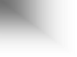 Chapter 1: Introduction