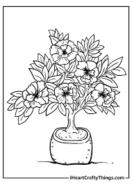 Over 70% new & buy it now; New Beautiful Flower Coloring Pages 100 Unique 2021