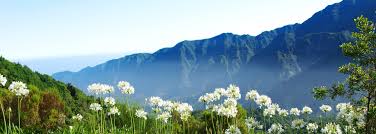 Madeira island, autonomous region of portugal in the atlantic ocean #madeira🧭 madère madera мадейра マデイラ島 #madeiraisland #madeirabookmarks. Madeira Islands Travel Guide Europe S Best Destinations