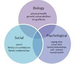 In this paper the implications of the biopsychosocial model for the study and care of a patient with an acute myocardial infarction are presented and … how physicians approach patients and the problems they present is much influenced by the conceptual models around which their knowledge is organized. Biopsychosocial Model Wikipedia