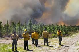 brantley county fire Picture