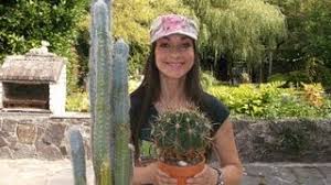 Cacti should be repotted as soon as the roots begin to show through the drainage holes at the bottom of its pot. How To Repot A Cactus Youtube