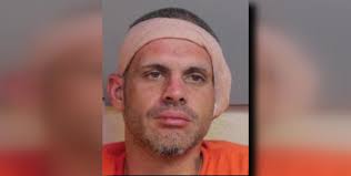 Deputy saves K9 from being drowned by fleeing suspect