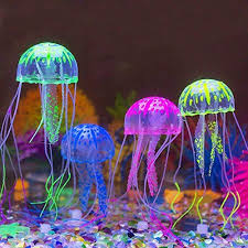 Pin On Ornamental Fish Foods And Fish Tank Decor Materials