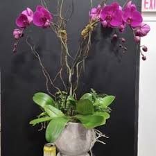 Best voted florists in charleston, south carolina. Florists In Charleston Yelp