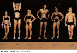Check spelling or type a new query. The Truth About Getting A Dancer S Or Swimmer S Body