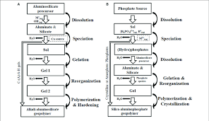 Flow Chart Of Conceptual Formation Process Of Aas And Sap