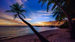 Feel free to share with your friends and family. Beach Sunset Desktop Background 2048x1152 Wallpaper Teahub Io