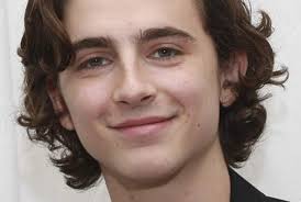 Timothée chalamet stars as edgar, the son of edward scissorhands, and winona ryder reprises her role as kim boggs. Timothee Chalamet Golden Globes