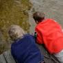 Advocacy for Equal Healthcare Access in Childhood Obesity Treatment in Sweden
