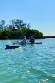 The area on the beach behind grand plaza has a nice palm tree lined wedding area right on the beach. Clear Kayak Tour To Shell Key Airbnb