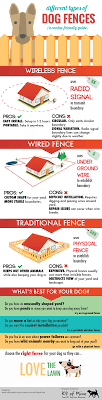 You may choose to install a pet barrier which is mainly installed on the interior part of the house. Pin On Pet Infographics Design Data About Dogs