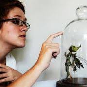 Tess Kane (tess_kane)