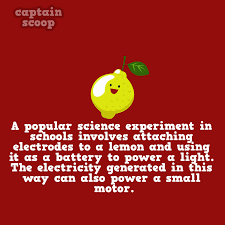 Read on for some hilarious trivia questions that will make your brain and your funny bone work overtime. 15 Cool Facts You Didn T Know About Vegetables Bored Panda