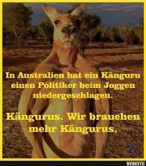 In Australien Hat Ein Kanguru Einen Politiker Beim Joggen Niedergeschlagen Sportzitate Lustig Sarkastisch Spruche Kollegen