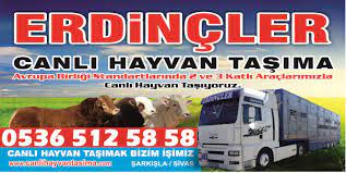 erdincler canli hayvan tasima 0536 512 58 58 hayvan taslar