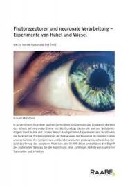 210 Biologie Ideen In 2021 Biologie Unterrichtsmaterial Lernen Biologie | experimentelle erforschung der vorgänge bei der atmung. biologie unterrichtsmaterial