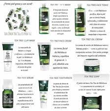 Tea Tree Tea Tree Oil Cream Diy Body Care Cosmetics Usa