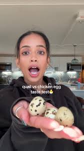 🐣vs.🐣 #quaileggs #chickeneggs