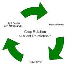 Vegetable Nutrient Relationship Crop Rotation