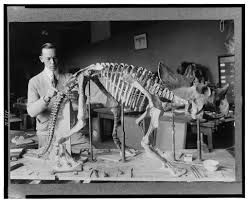 Norman Ross of the division of Paleontology, National Museum ...