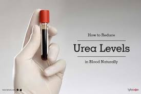 How To Reduce Urea Levels In Blood Naturally By Dr