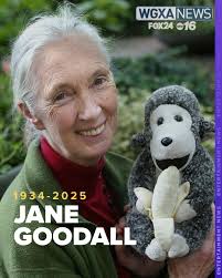 Celebrating the Life of Joshua Woodard, a Beloved University Student