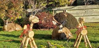 Maybe you would like to learn more about one of these? Deer In Disguise Saanich Resident Finds Deer Lounging Among Christmas Decorations Goldstream News Gazette