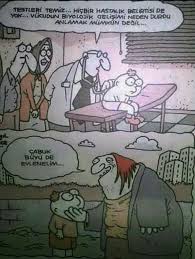 Karikatur Mizah Karikatur Komik