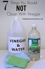Bissell Crosswave Cleaning Solution Substitute 7 Things Not To Clean With Vinegar Vinegar Cleaning Cleaning Hacks Homemade Toilet Cleaner
