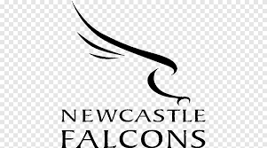 We have 515 free black vector logos, logo templates and icons. Newcastle Falcons English Premiership Kingston Park Sale Sharks Exeter Chiefs The Wasp Logo Text Logo Png Pngegg