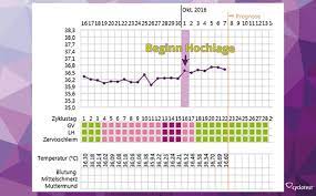 Wie kann ich den eisprung erkennen? Basaltemperatur Wie Sie Hilft Schwanger Zu Werden Cyclotest