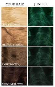 Juniper Green Green Hair Dye Dark Green Hair Dye Dyed Hair Blue