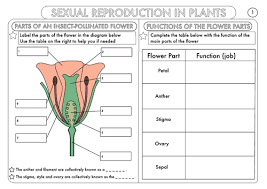 We did not find results for: Gcse Biology Plant Reproduction Worksheet Pack Teaching Resources