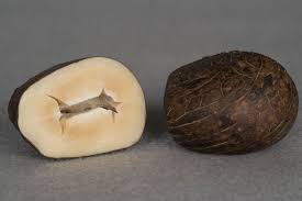 Setting yourself goals and giving everything you have to achieve them is a normal occurrence. Ivory Significance And Protection