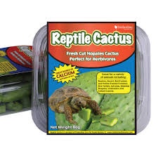 A bearded dragon's diet is vital to keeping him or her healthy and active. Timberline Reptile Cactus 80g Petco