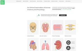 Study human anatomy smarter, not harder. 5 Best Anatomy Websites For Medical Students Free Fast Easy To Understand Willpeachmd