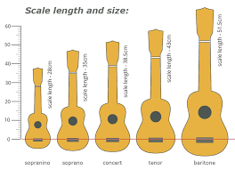 Thomann Online Guides Scale Length And Size Ukulele Thomann Uk